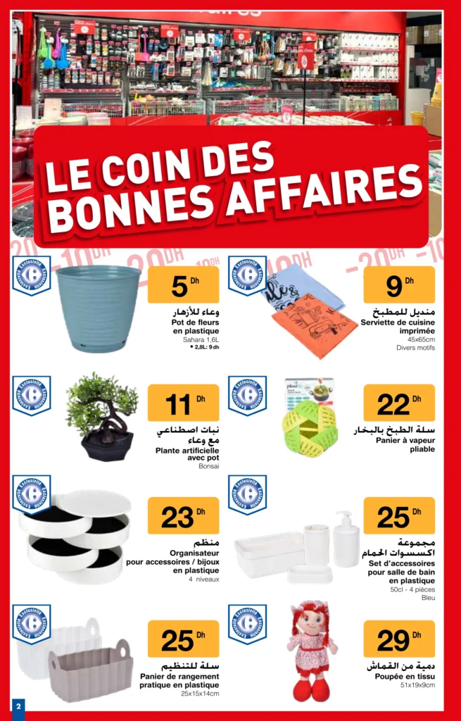 Catalogue Carrefour du 9 au 29 Janvier 2025